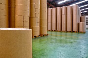ecil celulose papel e1562887557434 ecil celulose papel e1562887557434