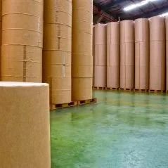 ecil celulose papel e1562887557434 239x239 1